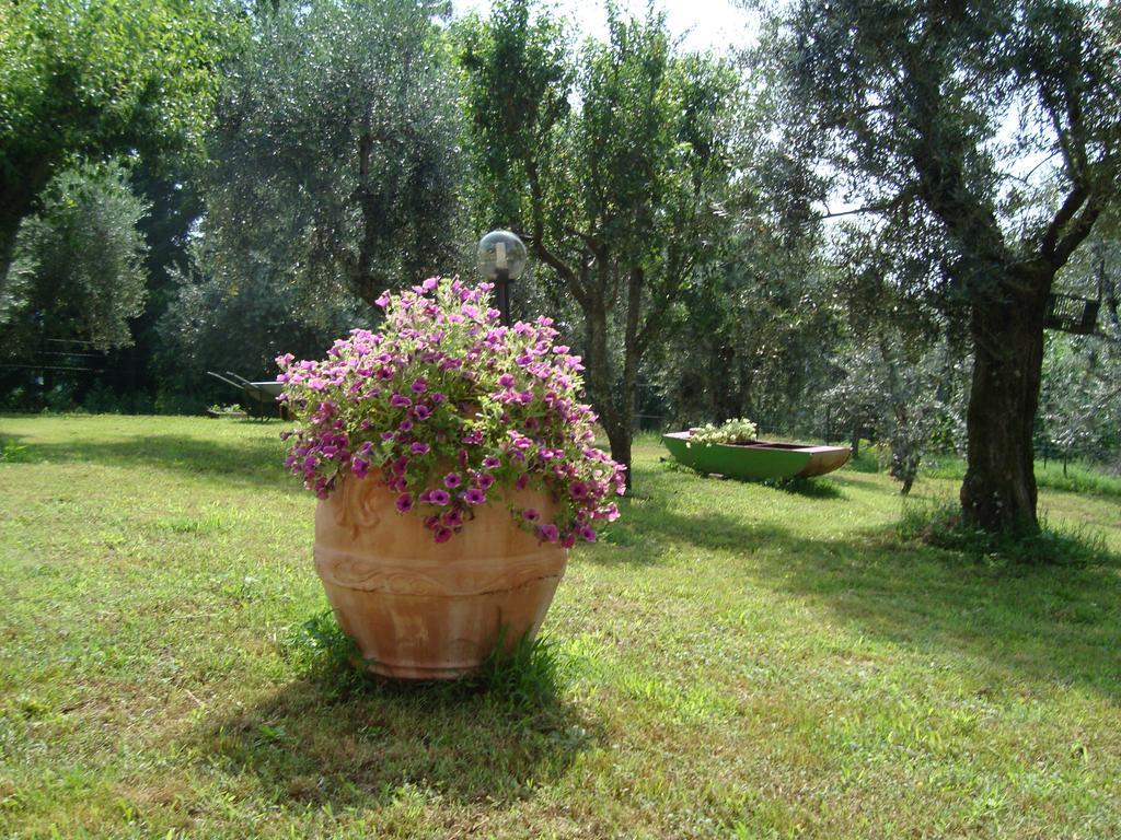 Penzion Il Fienile Di Penelope Marliana Exteriér fotografie